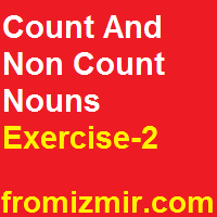 Count And Non Count Nouns Exercise-2