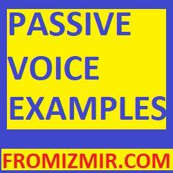 PASSIVE VOICE EXAMPLES