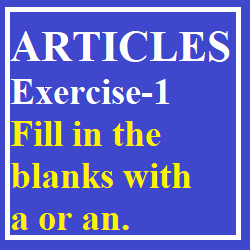Articles Exercise-1 Fill in the blanks with a or an.