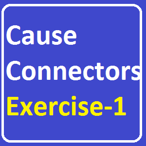 Cause Connectors Exercise-1, Put in so, such or such a