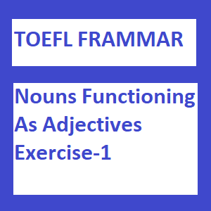 Nouns Functioning As Adjectives Exercise-1