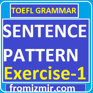 Sentence Pattern Exercise -1
