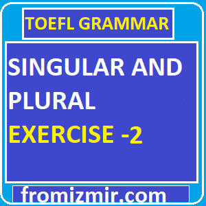 Singular And Plural Exercise -2-min