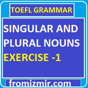 Singular And Plural Nouns Exercise -1
