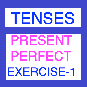 Present Perfect Tense Exercise -1