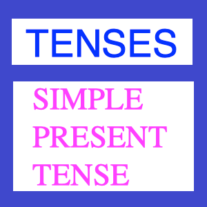 the Simple Present Tense Exercises