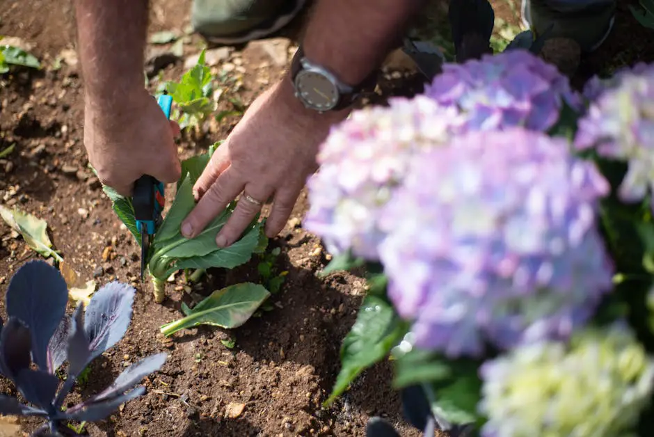 A person tending to a beautiful home garden filled with spring flowers