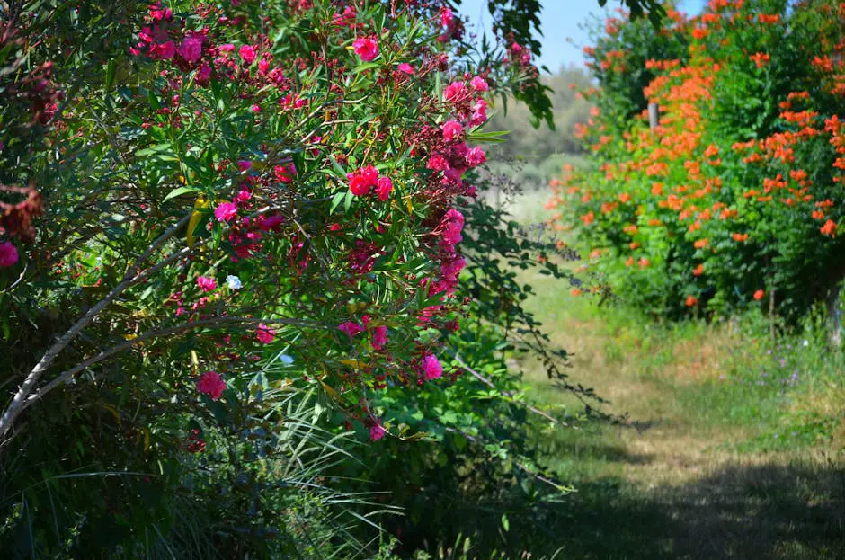 A lush botanical garden path lined with colourful spring flowers