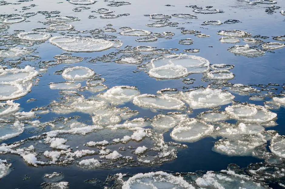 A visual representation of climate change effects on spring ecosystems