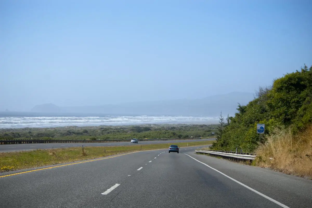 A car driving along a coastal road with fields of wildflowers and the ocean visible