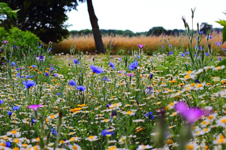 A picturesque spring meadow with a patchwork of colorful wildflowers and varying grass heights, showcasing the diversity of plant life