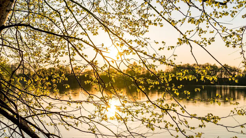 A serene spring landscape on a misty morning, with soft light filtering through the fog