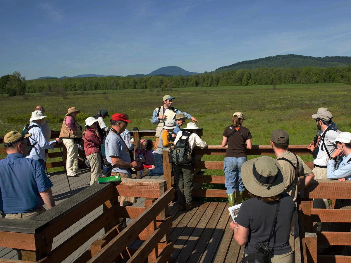 A small group of people responsibly enjoying a spring meadow, staying on designated paths and observing wildlife from a distance