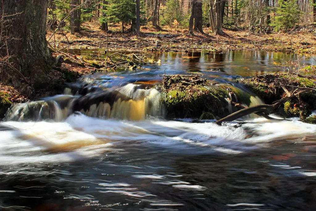 A spring stream with silky smooth water effect achieved through long exposure photography