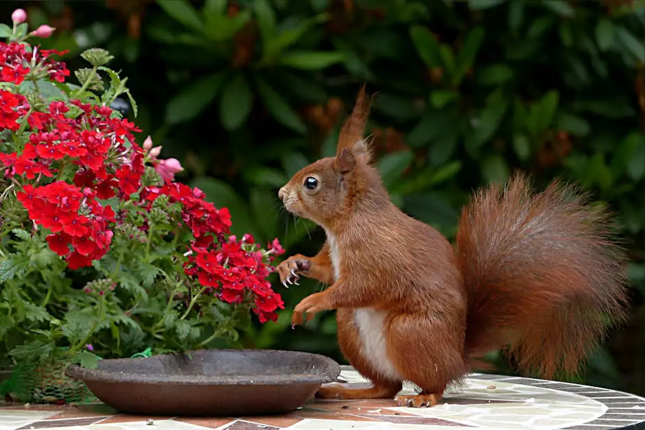 A lush landscape coming to life with blooming flowers, budding trees, and wildlife returning