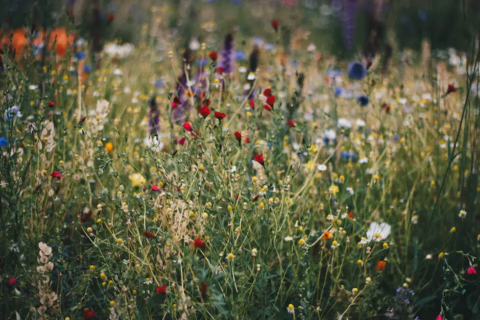 A vibrant spring landscape with a colourful mix of blooming wildflowers and lush green foliage