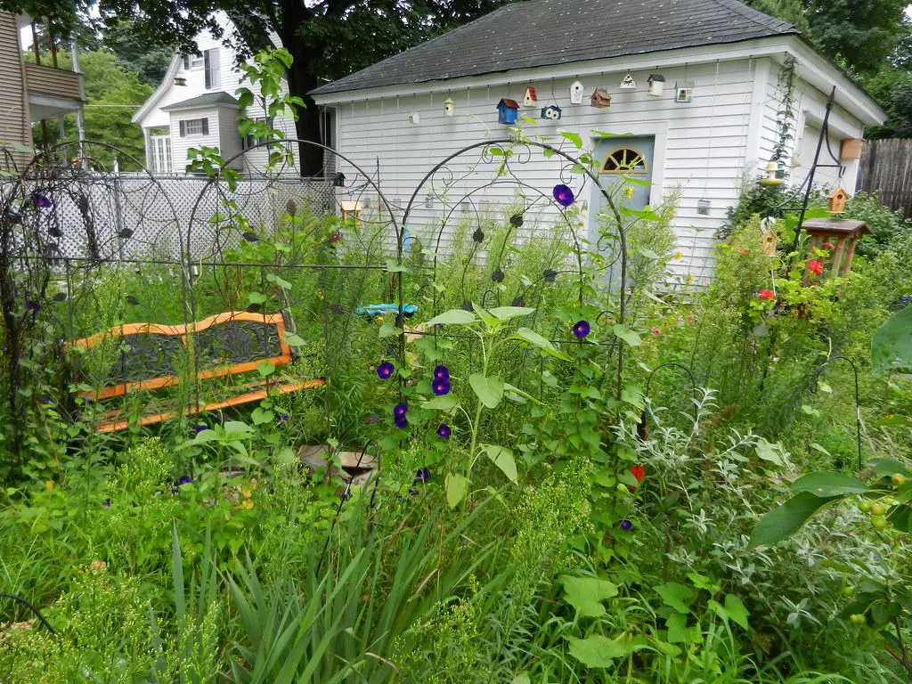 A wildlife-friendly garden with native plants, a water feature, and various animals